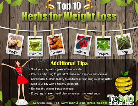 Discover the Secret Potions: Herbs for Weight Loss